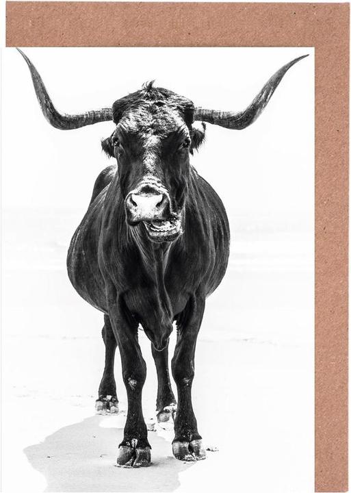 Image du produit Juniqe Stand Down - Vaches (15 pcs)