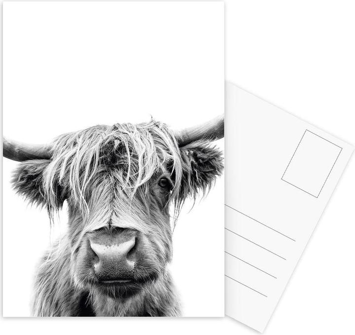 Actual product image Juniqe Beneath Raised Brows - Cows (10 pcs.)
