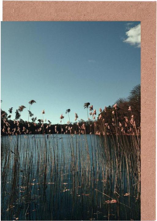 Produktbild Juniqe Nature — Grass In A Lake - Ozeane, Meere & Seen (15 Stk.)
