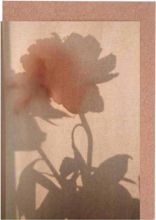 Produktbild Juniqe Abstract — Flower Shadow II - Glückwünsche (10 Stk.)