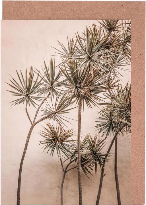 Immagine prodotto Juniqe Palme baciate dal sole Madeira - Palme (15 pz.)