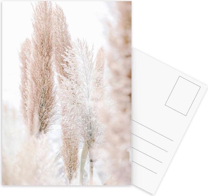 Immagine prodotto Juniqe Pampas Reed Madeira 1 - Botanica (15 pz.)
