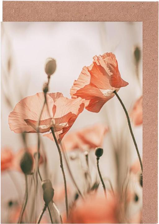 Actual product image Juniqe Sunkissed Flowers 1 - Flowers (15 pcs.)
