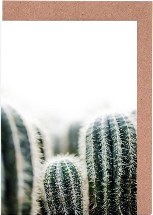 Immagine prodotto Juniqe Cactus 1 - Cactus (15 pz.)