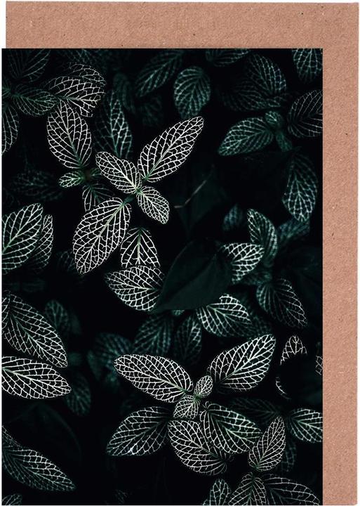 Immagine prodotto Juniqe Foglie scure 3 - Foglie e piante (10 pz.)