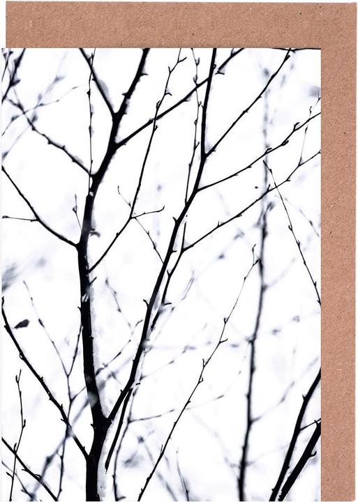 Immagine prodotto Juniqe Silhouette invernali 3 - Alberi (15 pz.)