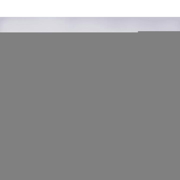Actual product image Bruder Liebherr wheel loader L574