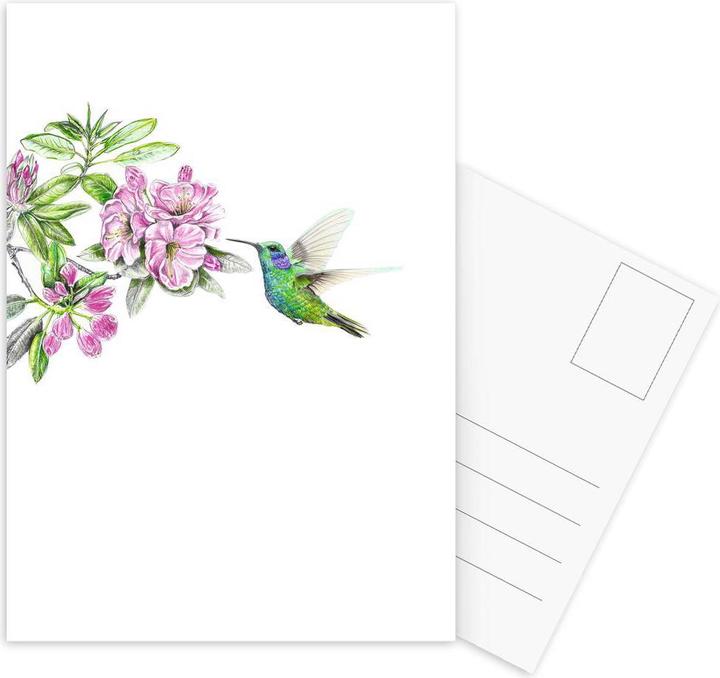 Immagine prodotto Juniqe Colibrì - Colibrì (15 pz.)