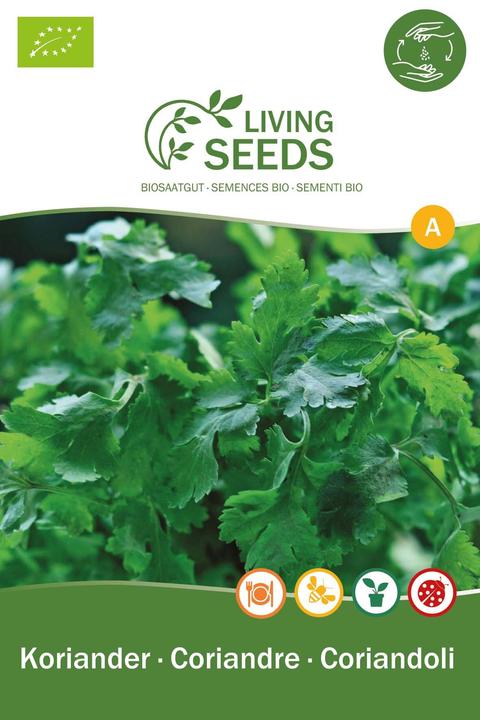 Produktbild Living Seeds Koriander (Kräutersamen)
