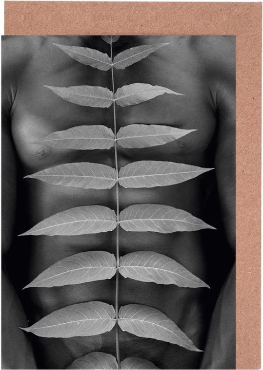 Produktbild Juniqe Torso - Modefotografie (5 Stk.)