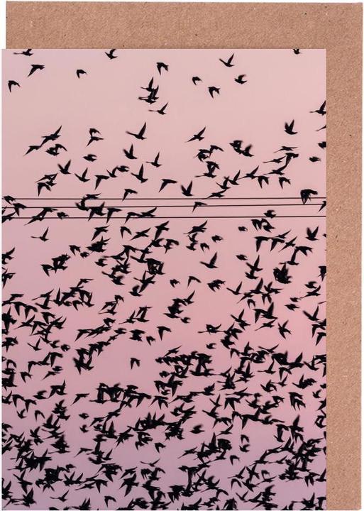 Image du produit Juniqe Chaos in Bird Migration by @matthcon01 - Ciels & nuages (15 pcs)