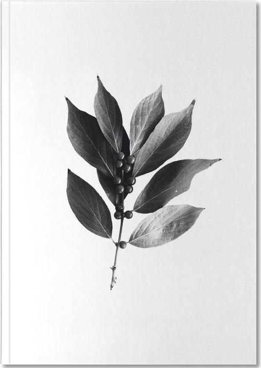 Image du produit Juniqe Leaf 2 - Noir & blanc (A5, À rayures, Couverture rigide)