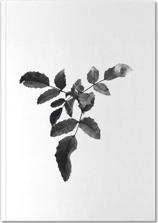 Actual product image Juniqe Leaf 3 - Black & White (A5, Lined, Hardcover)