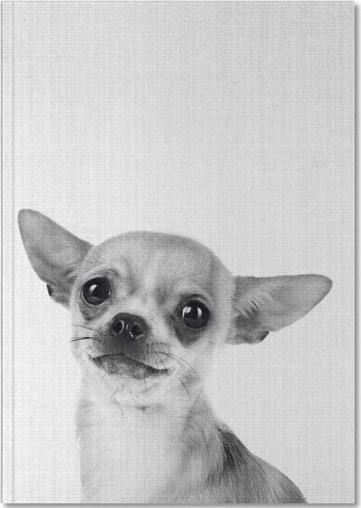 Actual product image Juniqe Chihuahua Black | White Photograph (A5, Lined)