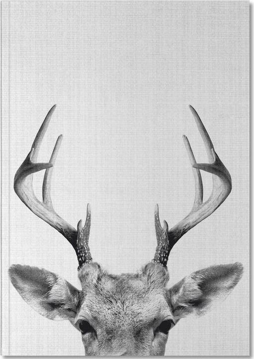 Image du produit Juniqe Renne - Photo en noir et blanc (A5, Pointillés)