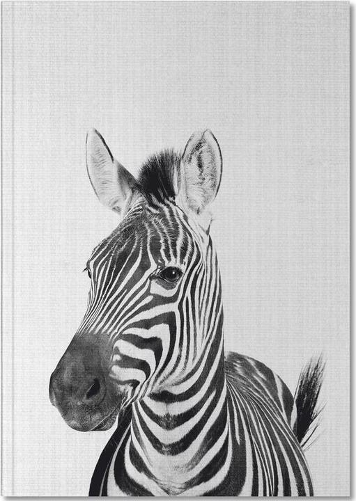 Actual product image Juniqe Zebra Black | White Photograph (A5, Plain)