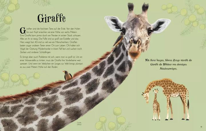 Produktbild Wundervolle Welt der Tiere (Deutsch, Ben Hoare, 2019)