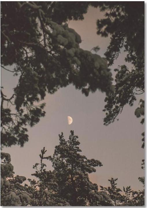 Actual product image Juniqe The Moon - Trees (A5, Lined)