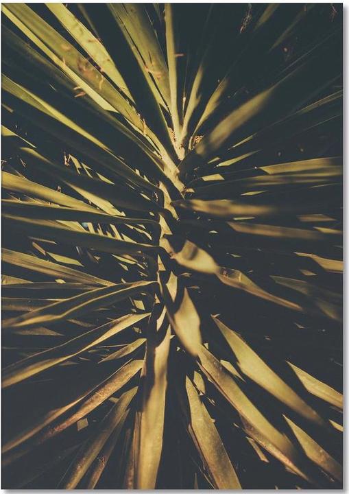 Actual product image Juniqe The Palm II - Leaves & Plants (A5, Plain)