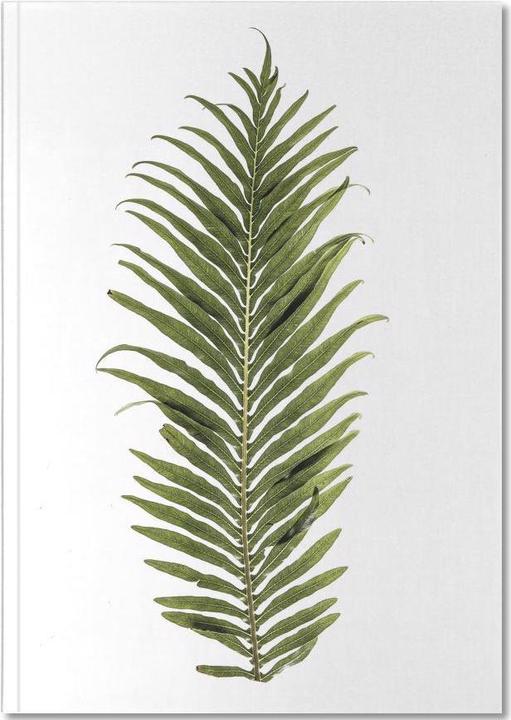 Produktbild Juniqe Leaf Study 1 - Blätter & Pflanzen (A5, Blanko)