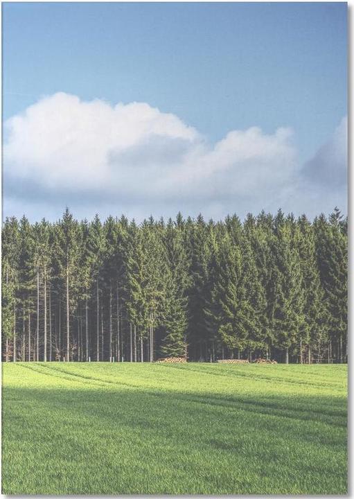 Produktbild Juniqe Odenwald - Bäume (A5, Liniert)