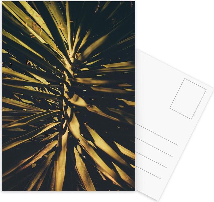 Actual product image Juniqe The Palm II - Leaves & Plants (3 pcs.)