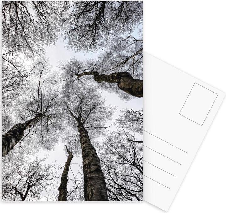 Produktbild Juniqe Forest 1 - Bäume (10 Stk.)