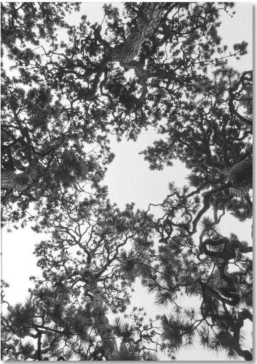 Actual product image Juniqe Japanese Garden 4 - Trees (A5, Plain)