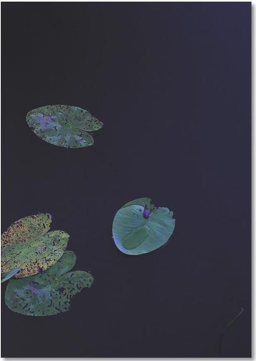 Actual product image Juniqe Floating - Leaves & Plants (A5, Lined)