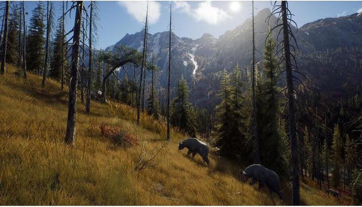 Produktbild THQ Way of the Hunter (PS5, DE)