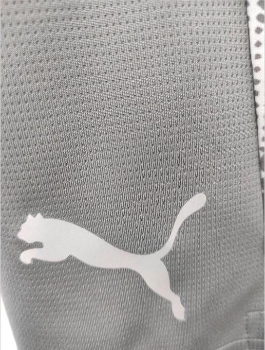Produktbild Puma teamCUP Training Shorts (L)