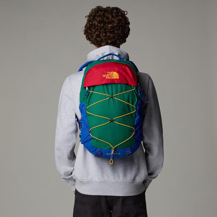 Actual product image North Face Borealis (28 l)