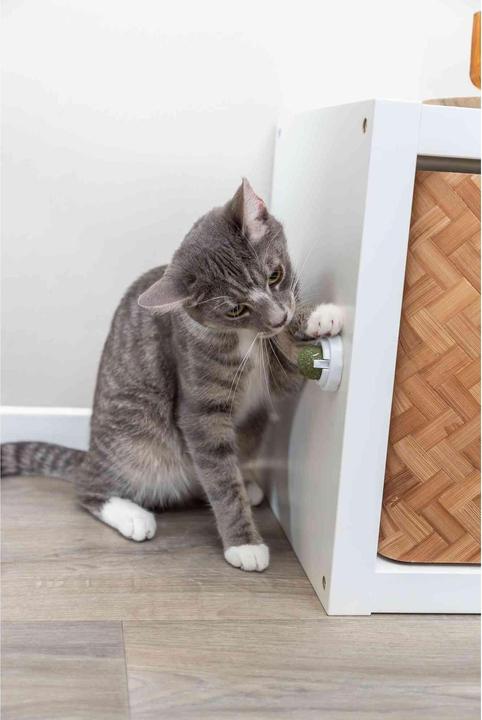 Actual product image Trixie Catnip Ball (Cat ball toy)