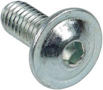 Actual product image Aquatuning Screw ISO 7380 M4 x 10 Allen lens head