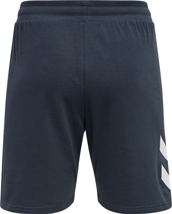 Actual product image hummel Legacy Shorts (M)