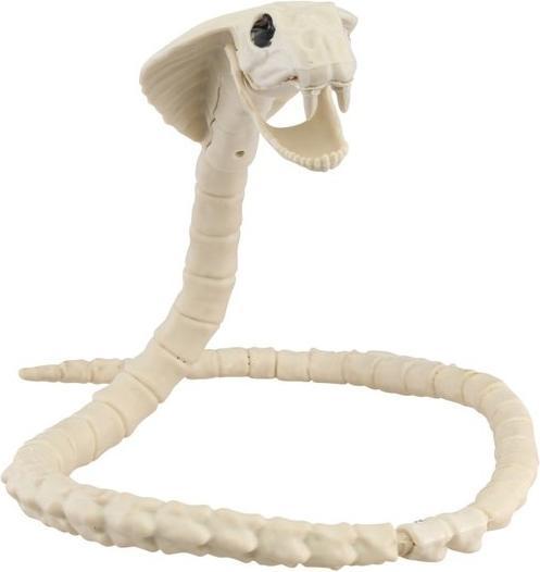 Actual product image Chaks Snake skeleton: Cobra
