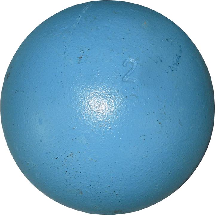 Actual product image Huspo Training (2000 g)