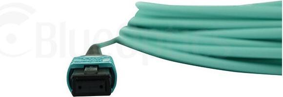 Actual product image BlueOptics Telesis AT-MTP12-7 compatible MTP-MTP OM3 patch cable 7.5 metres
