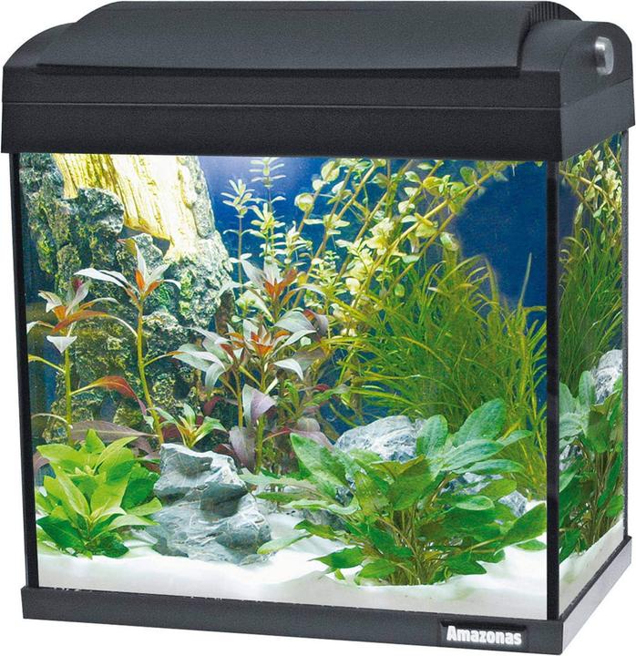 Amazonas F31 (24 l)