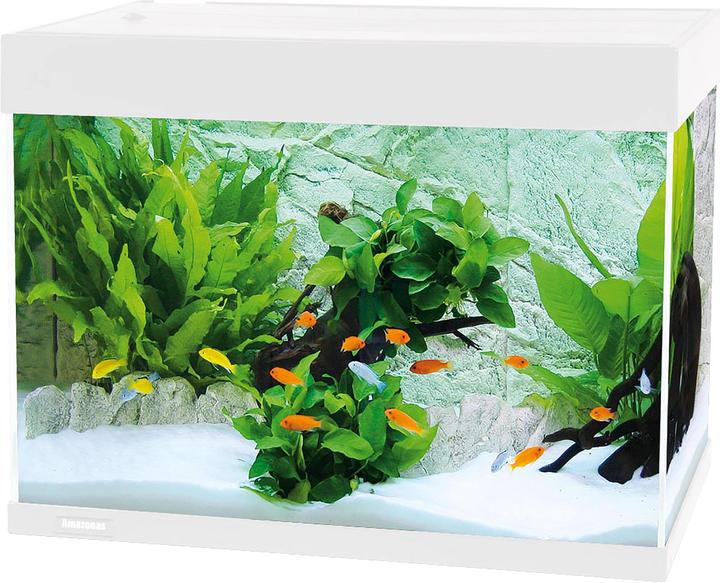 Amazonas F78 (78 l)