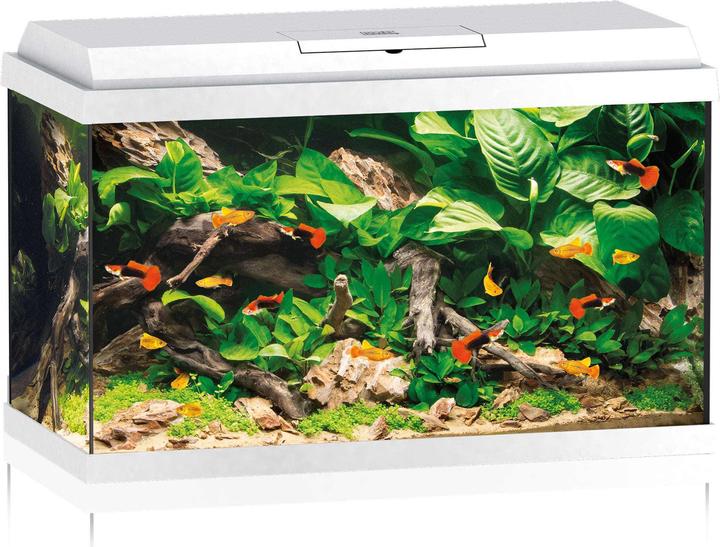 Actual product image Juwel Aquarium Aquarium Primo 70 LED white (70 l)