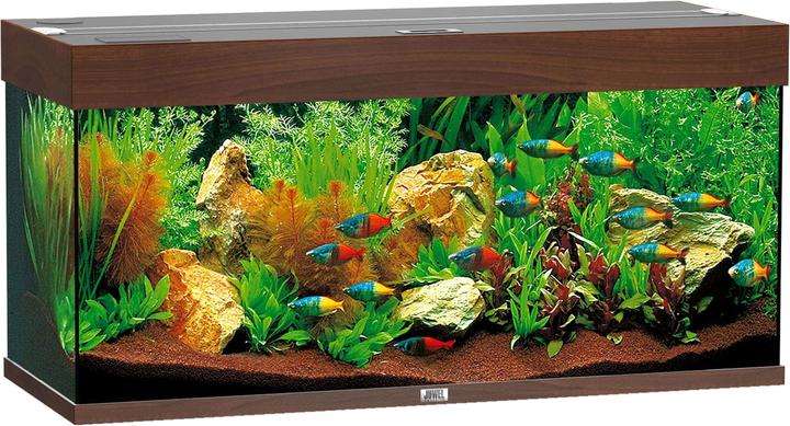 Image du produit Juwel Aquarium Rio (180 l)