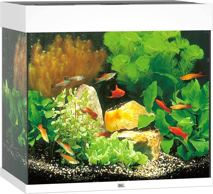 Juwel Aquarium Lido (120 l)