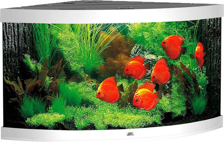 Produktbild Juwel Aquarium Aquarium Trigon 350 123x87x65cm weiss (350 l)