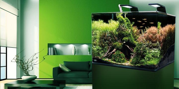 Image du produit Dennerle Réservoir de Scaper (35 l)