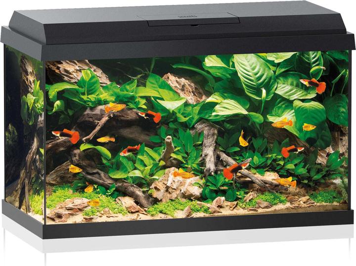 Produktbild Juwel Aquarium Primo (70 l)