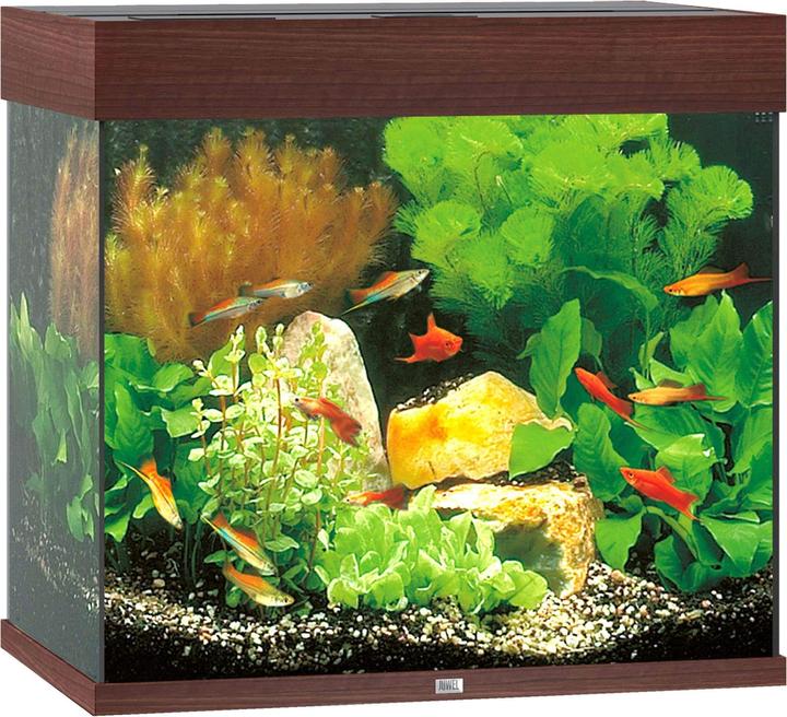 Immagine prodotto Juwel Aquarium Lido 120 (120 l)