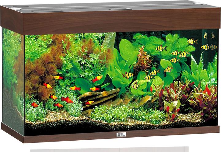 Juwel Aquarium Rio (125 l)