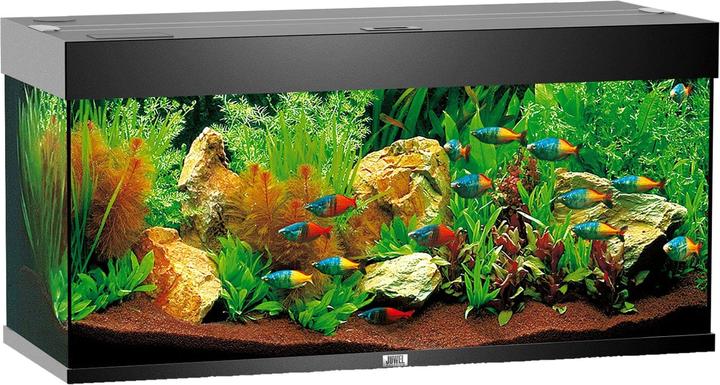 Immagine prodotto Juwel Aquarium Rio (180 l)