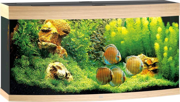 Produktbild Juwel Aquarium Vision 260 LED (260 l)